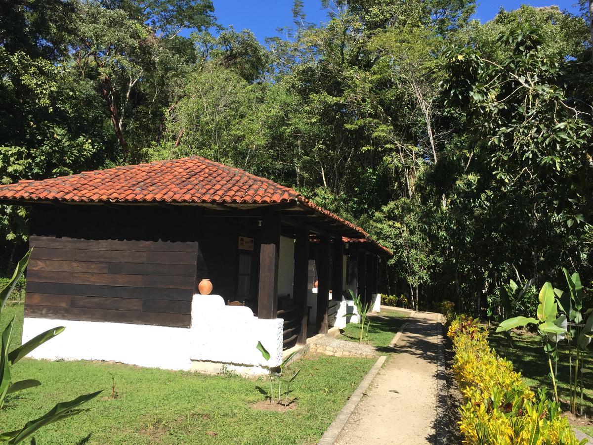 Ecolodge Las Nubes Chiapas La Fortuna Gallo Giro Extérieur photo