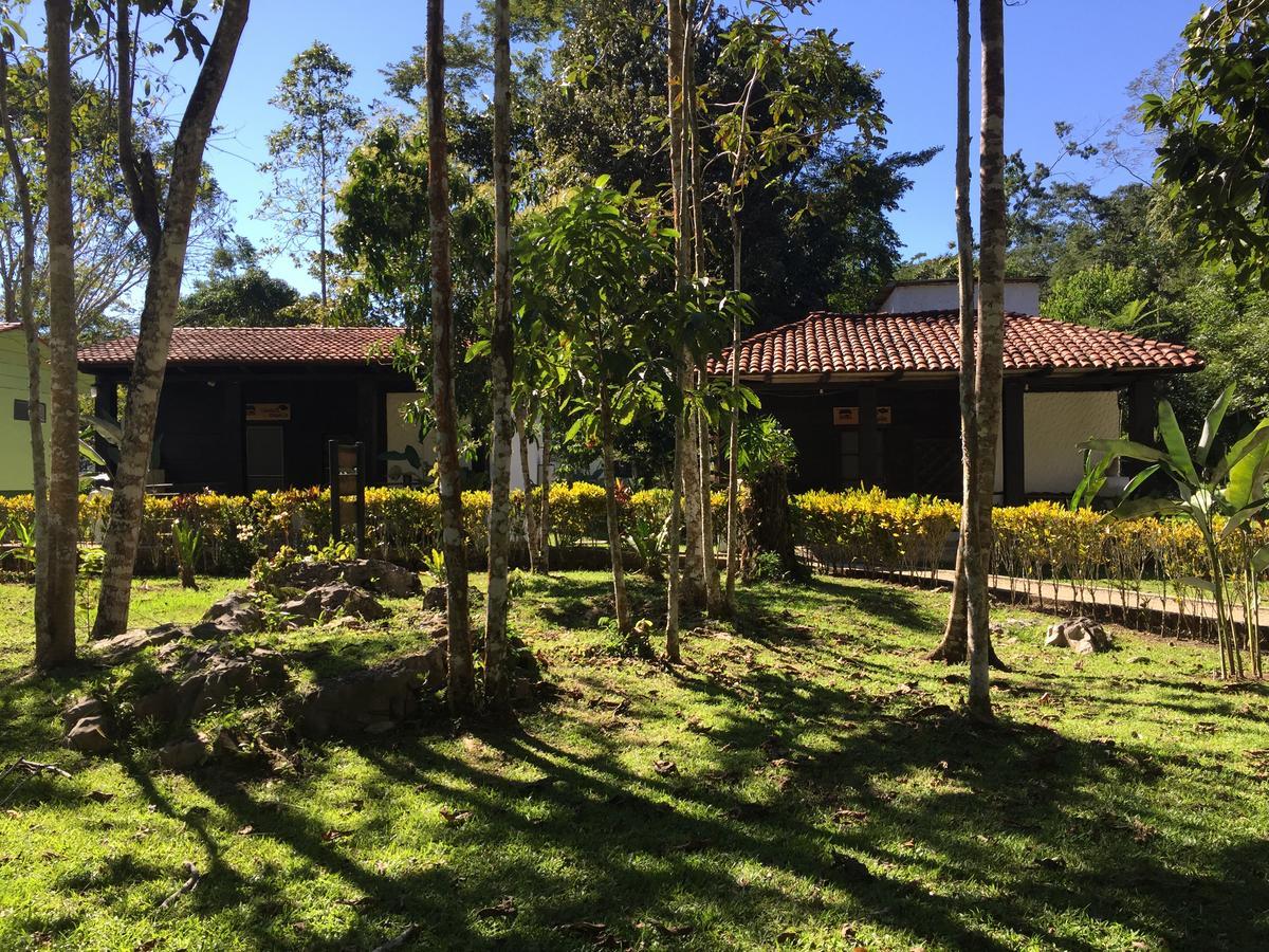 Ecolodge Las Nubes Chiapas La Fortuna Gallo Giro Extérieur photo