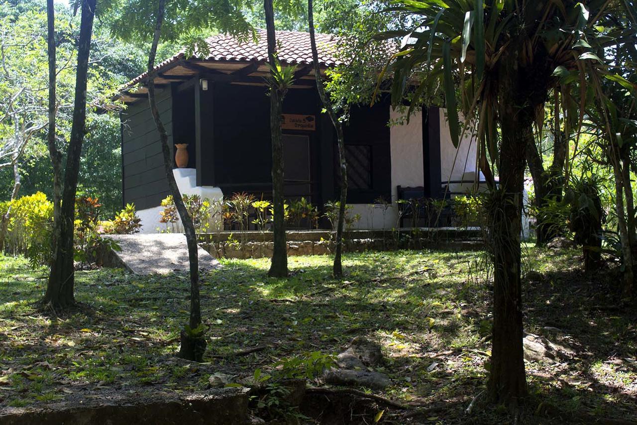 Ecolodge Las Nubes Chiapas La Fortuna Gallo Giro Extérieur photo