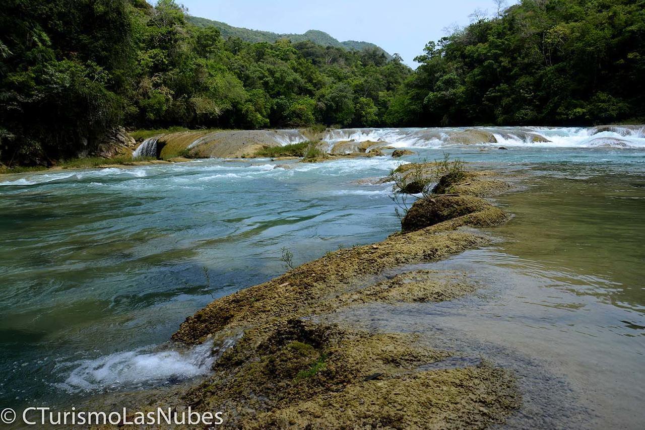 Ecolodge Las Nubes Chiapas La Fortuna Gallo Giro Extérieur photo