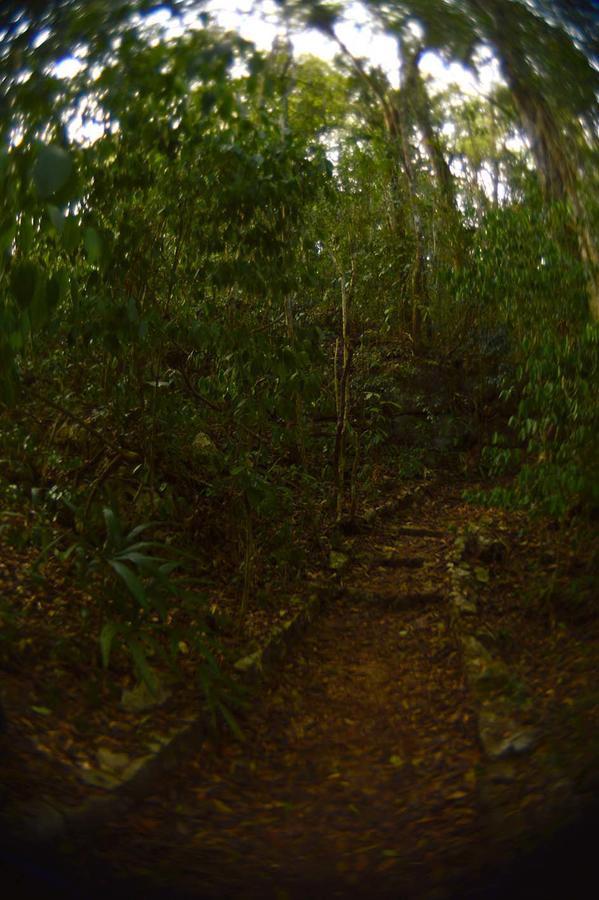 Ecolodge Las Nubes Chiapas La Fortuna Gallo Giro Extérieur photo