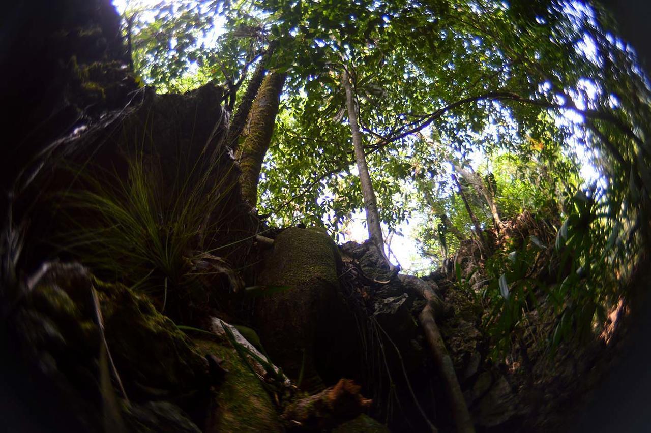 Ecolodge Las Nubes Chiapas La Fortuna Gallo Giro Extérieur photo