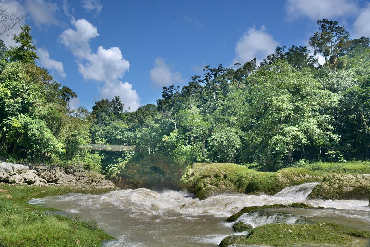 Ecolodge Las Nubes Chiapas La Fortuna Gallo Giro Extérieur photo