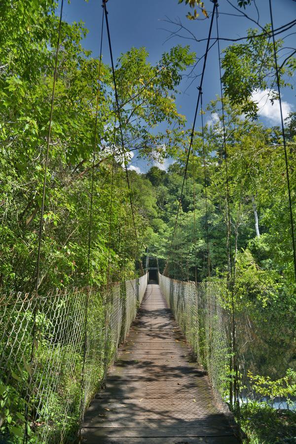 Ecolodge Las Nubes Chiapas La Fortuna Gallo Giro Extérieur photo